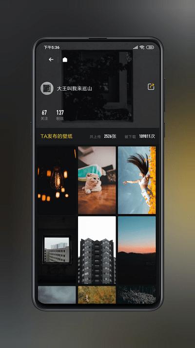 纸塘壁纸官方版下载,纸塘壁纸,壁纸app,主题app
