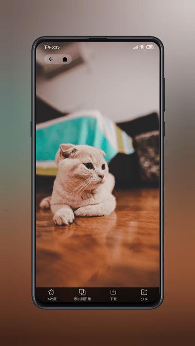 纸塘壁纸官方版下载,纸塘壁纸,壁纸app,主题app