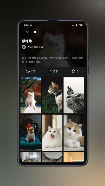 纸塘壁纸官方版下载,纸塘壁纸,壁纸app,主题app