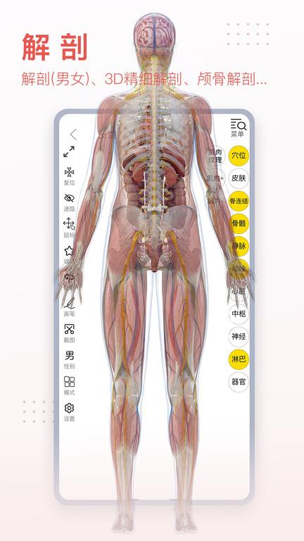 3dbody解剖软件下载,3dbody,解剖app,医学app