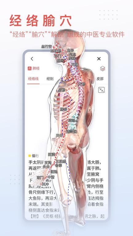 3dbody解剖软件下载,3dbody,解剖app,医学app