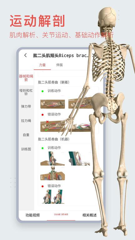 3dbody解剖软件下载,3dbody,解剖app,医学app