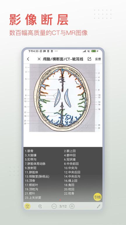 3dbody解剖软件下载,3dbody,解剖app,医学app