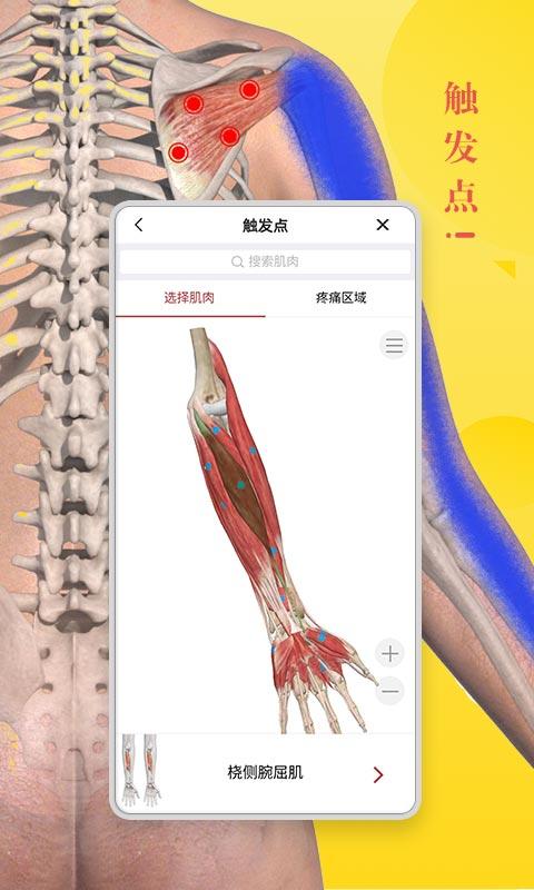 3dbody解剖软件下载,3dbody,解剖app,医学app